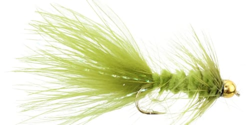 BHOliveWoolyBugger_1200x600_crop_center