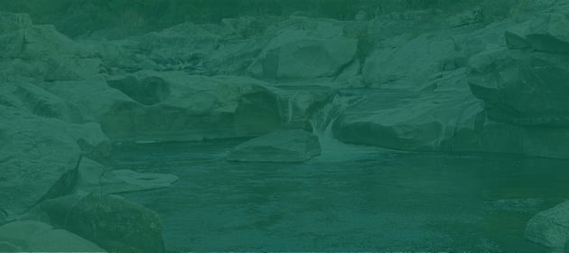 Mastering the Dropper Rig: Precision Fly Fishing in Technical Waters