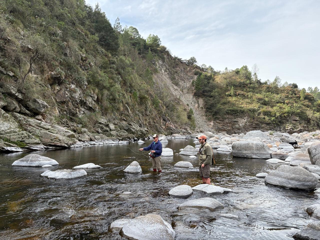 WhatsApp Image 2025-06-01 at 20.03.50