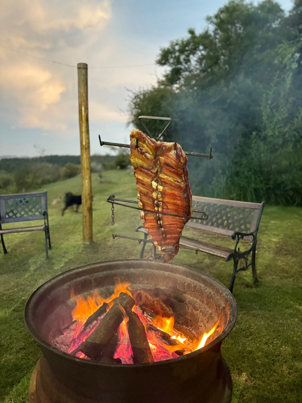 WhatsApp Image 2026-02-26 at 19.17.33