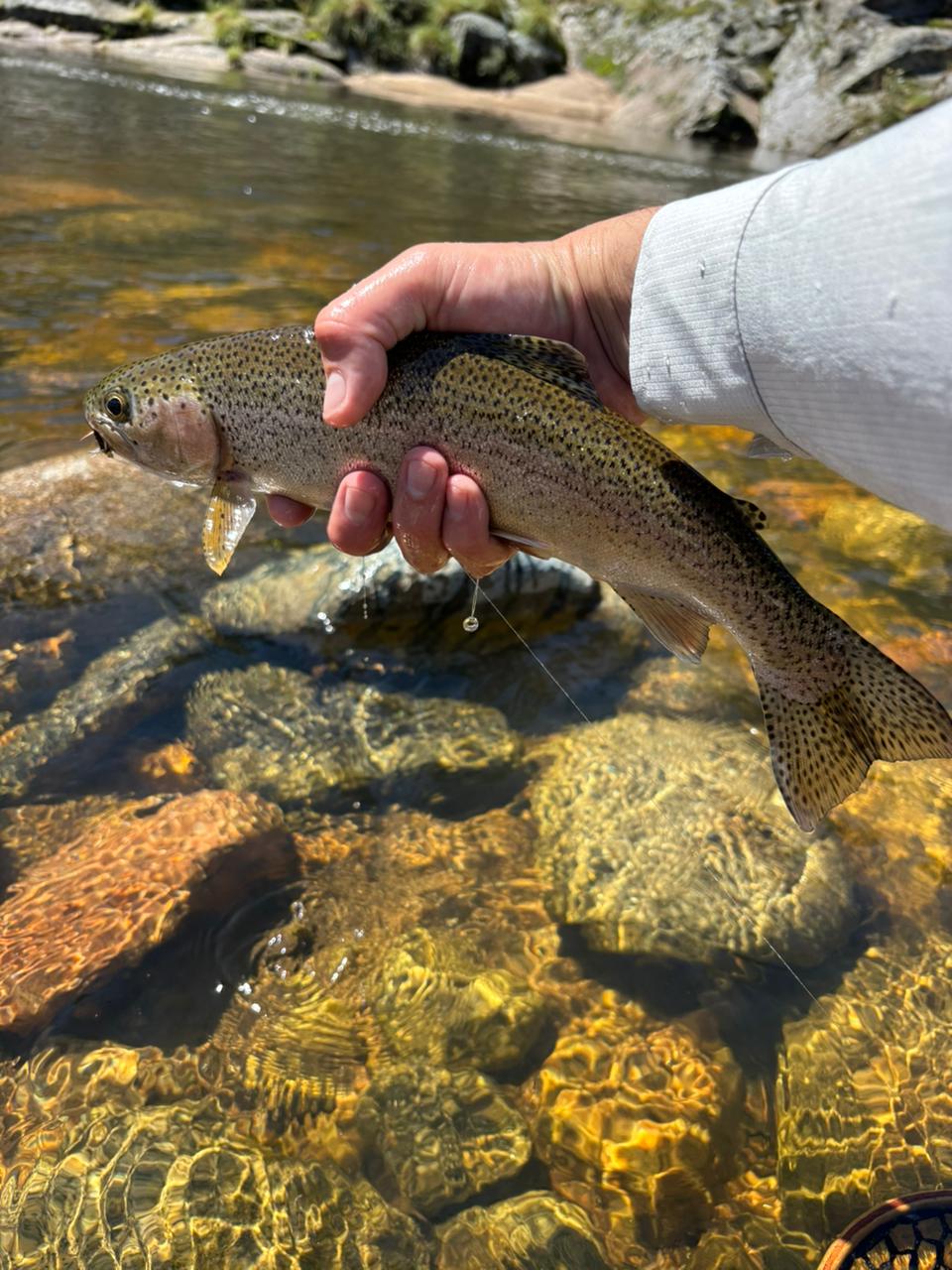 WhatsApp Image 2026-03-14 at 14.18.10