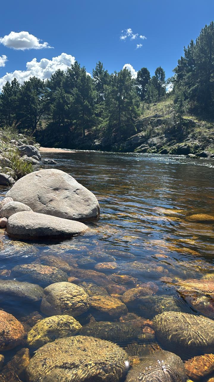 WhatsApp Image 2026-03-14 at 14.18.29