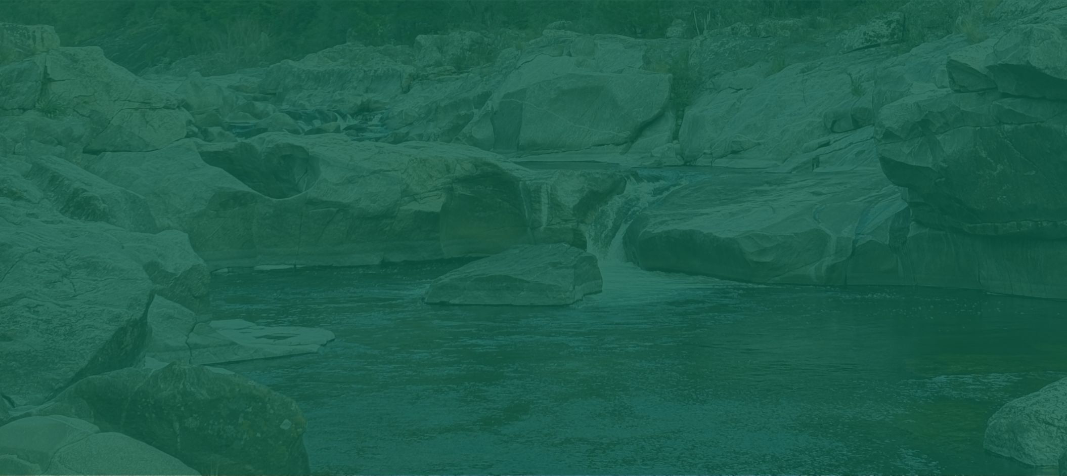 Mastering the Dropper Rig: Precision Fly Fishing in Technical Waters